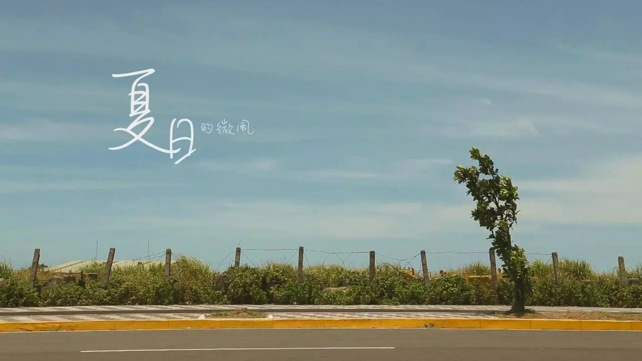 後製剪輯特效/各類影片攝製