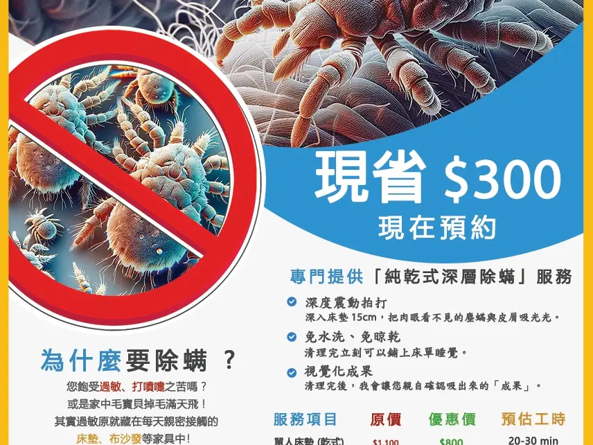 深度除蟎清潔 (純乾式清潔)