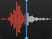 逐字聽打（英文）