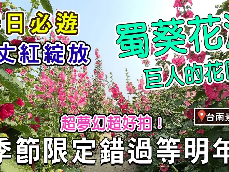 短影音剪輯