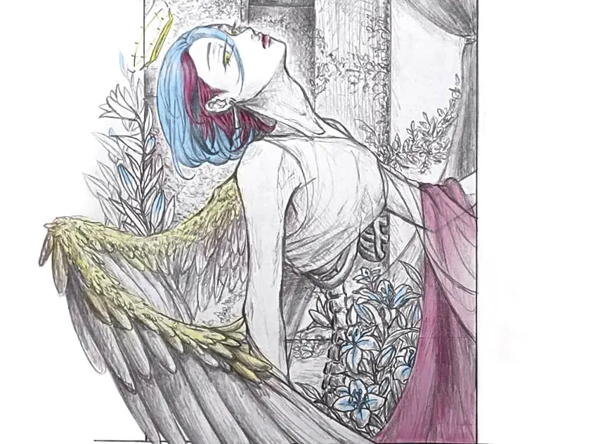 插畫設計（可商用，無原檔）