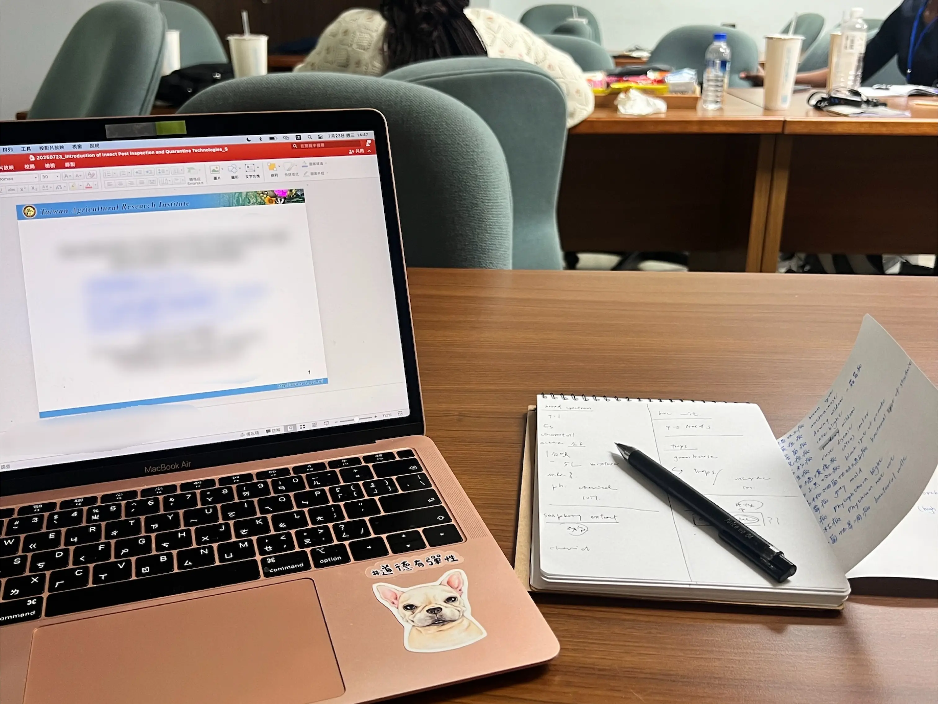 中英同步/逐步口譯