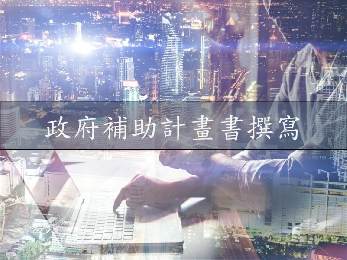 政府補助案