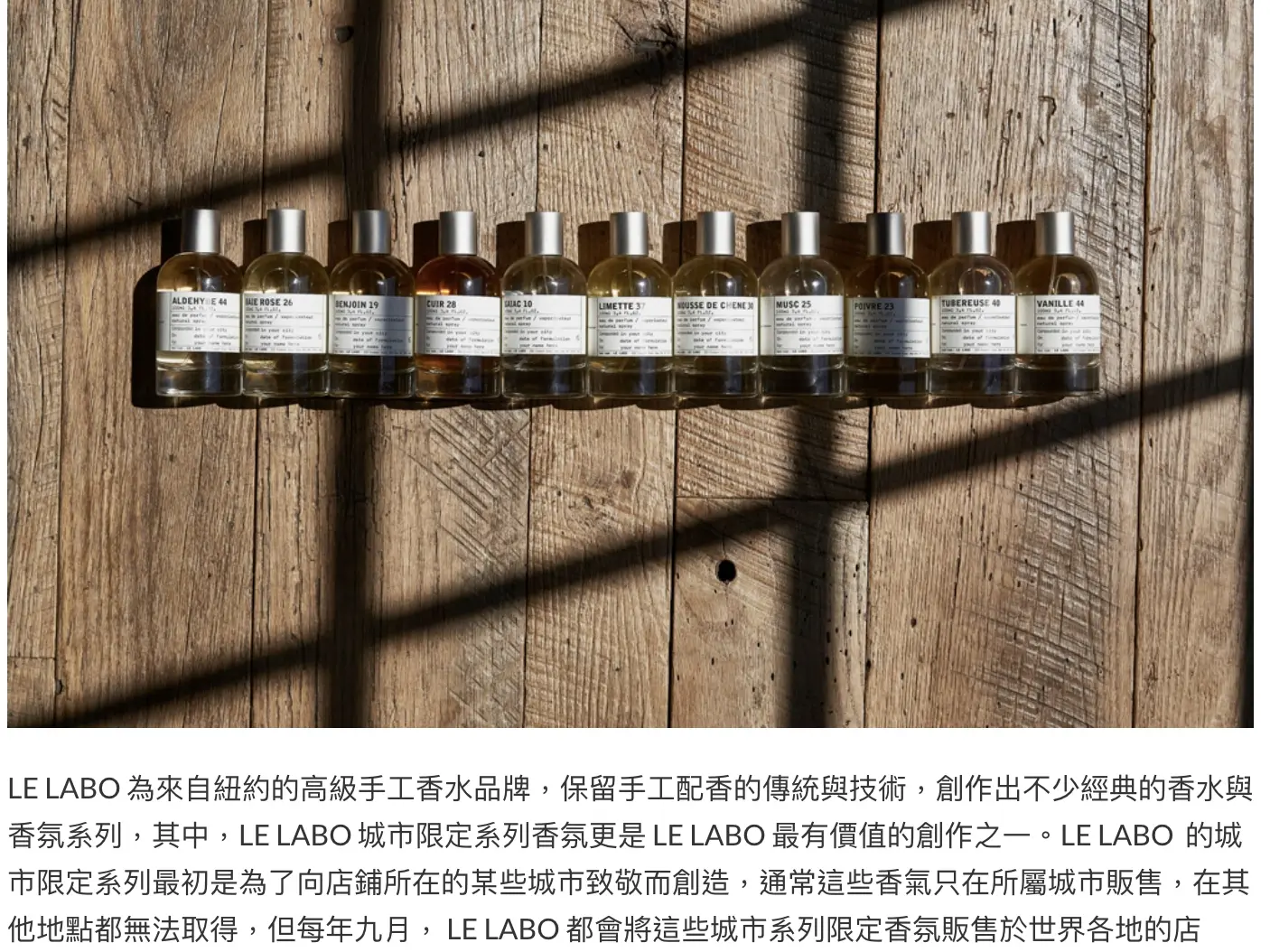 新聞稿、編輯文章撰寫