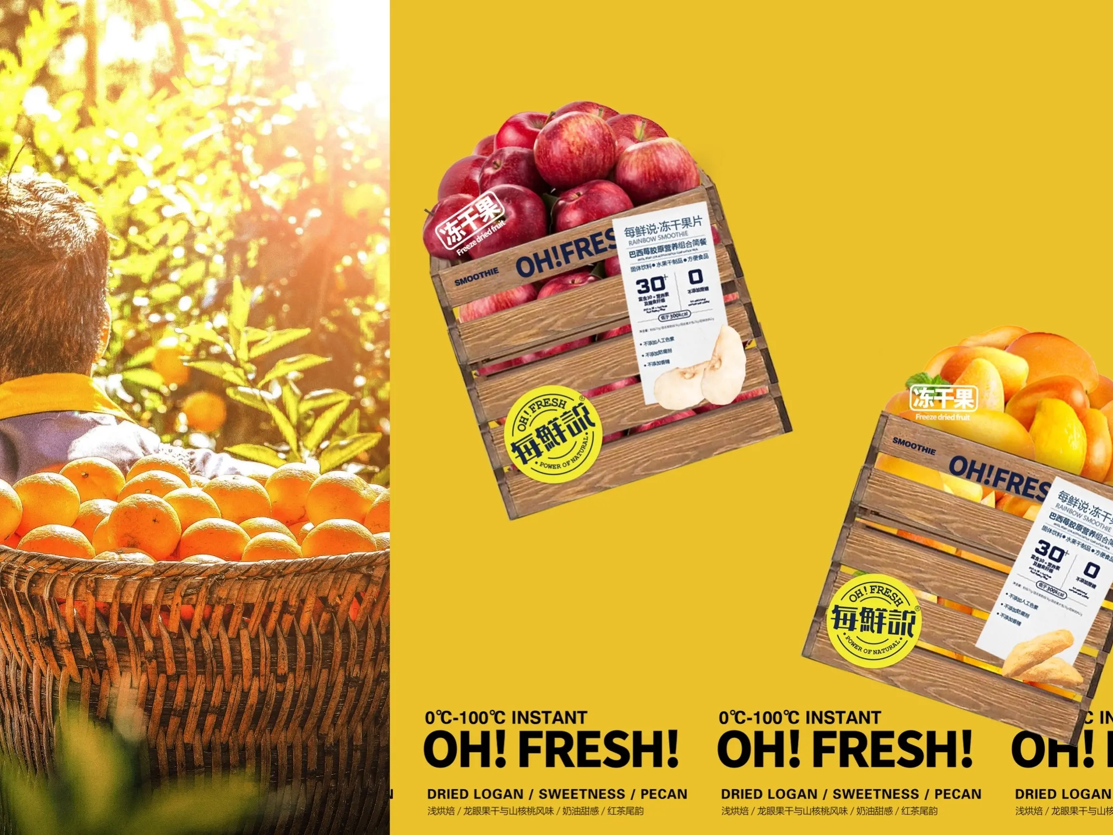 食品內/外包裝設計