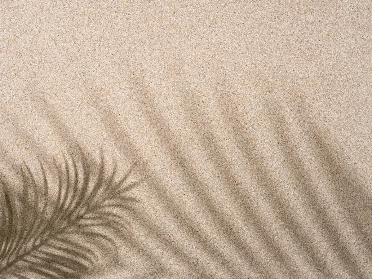 品牌用背景音樂｜15–40秒｜提升氛圍感