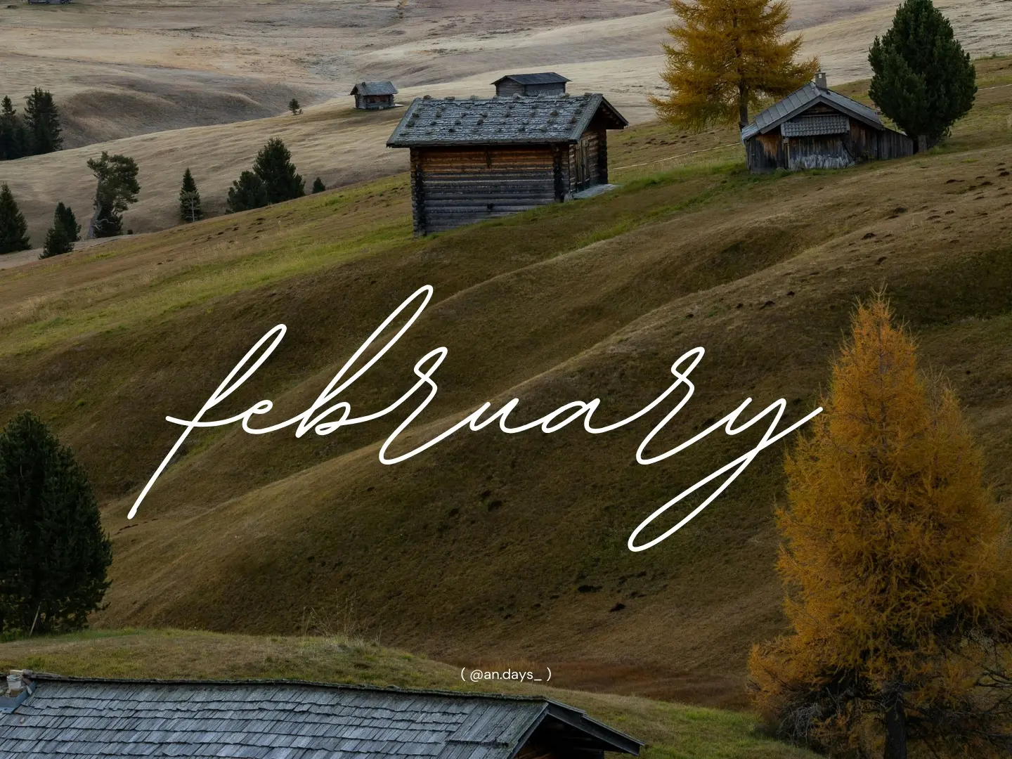 SEO文章撰寫/操作規劃