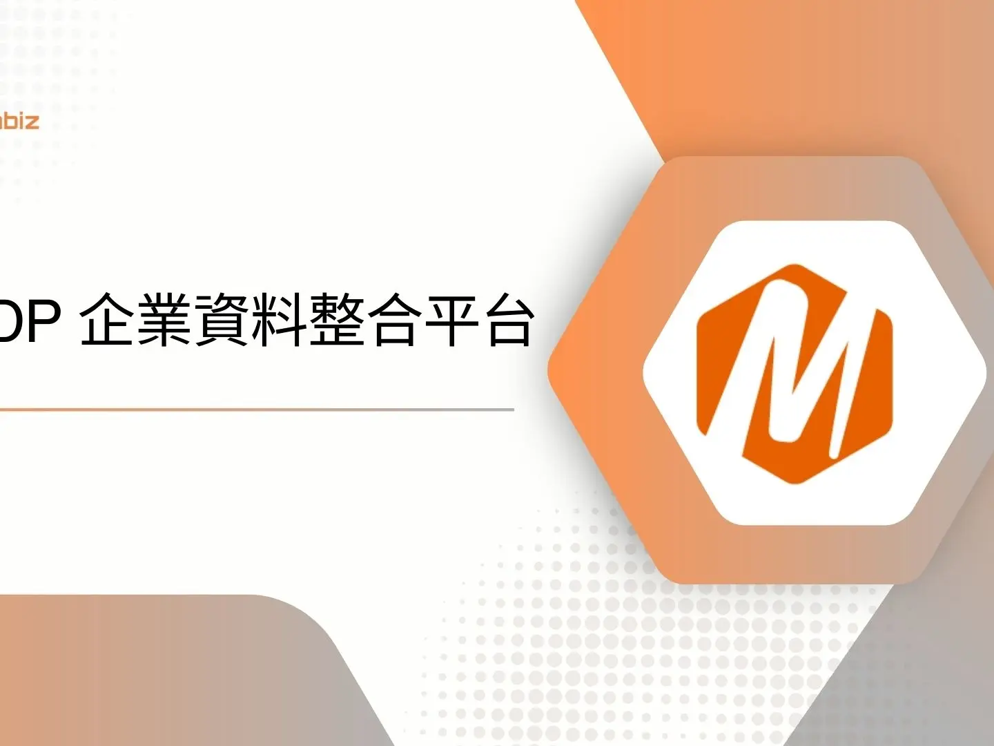 AI EDP 企業資料整合平台