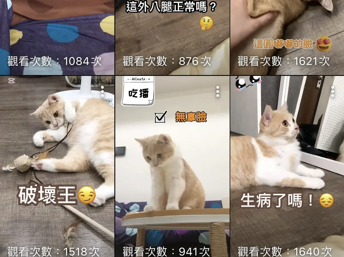 短影音剪輯（5分鐘內）